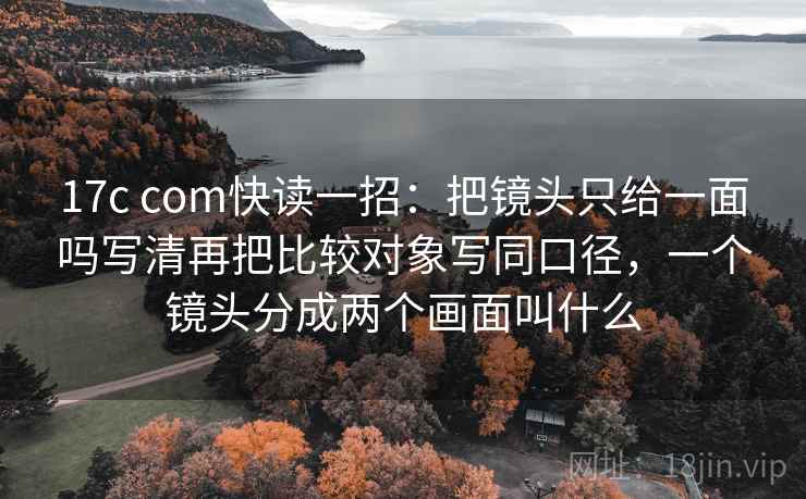17c com快读一招：把镜头只给一面吗写清再把比较对象写同口径，一个镜头分成两个画面叫什么