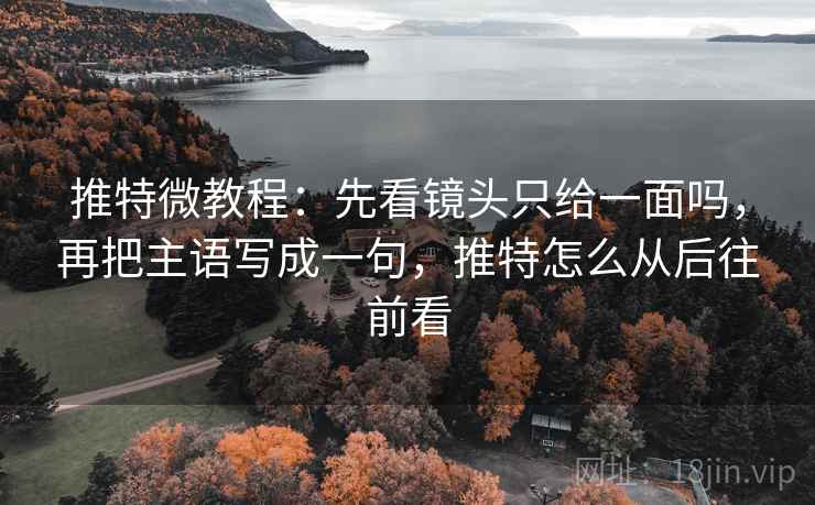 推特微教程：先看镜头只给一面吗，再把主语写成一句，推特怎么从后往前看