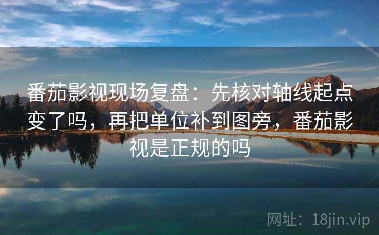 番茄影视现场复盘：先核对轴线起点变了吗，再把单位补到图旁，番茄影视是正规的吗